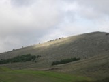 Clicca qui per vedere l'immagine in dettaglio
